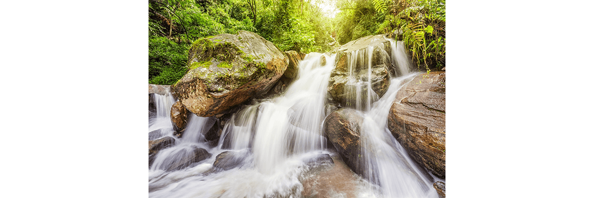 Wasser hat ein Gedächtnis - Wasser hat ein Gedächtnis