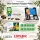 VitaZapper® Professional Starter-Set - 10 Lexikon-Karten | Aktion