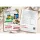 VitaZapper® Professional Starter-Set - 10 Lexikon-Karten | Aktion