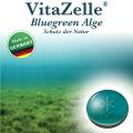 Blue Green Zelle