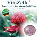 Australische Blueten Zelle